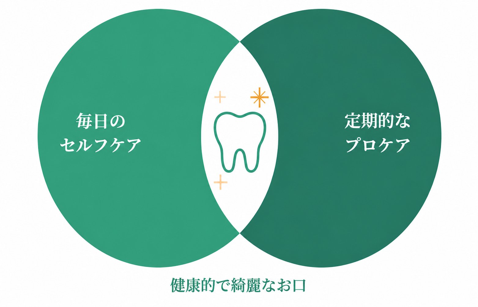 毎日のセルフケアと定期的なプロケアで健康的で綺麗なお口